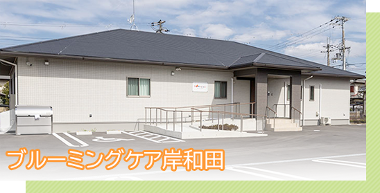 ブルーミングケア岸和田